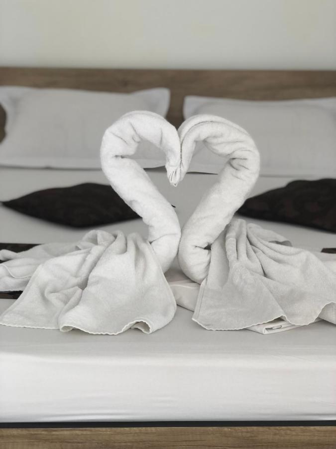 Hotel Marcos Costineşti Exteriér fotografie